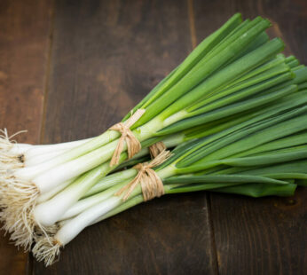 Spring onions