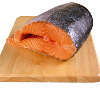 Piece of fresh salmon