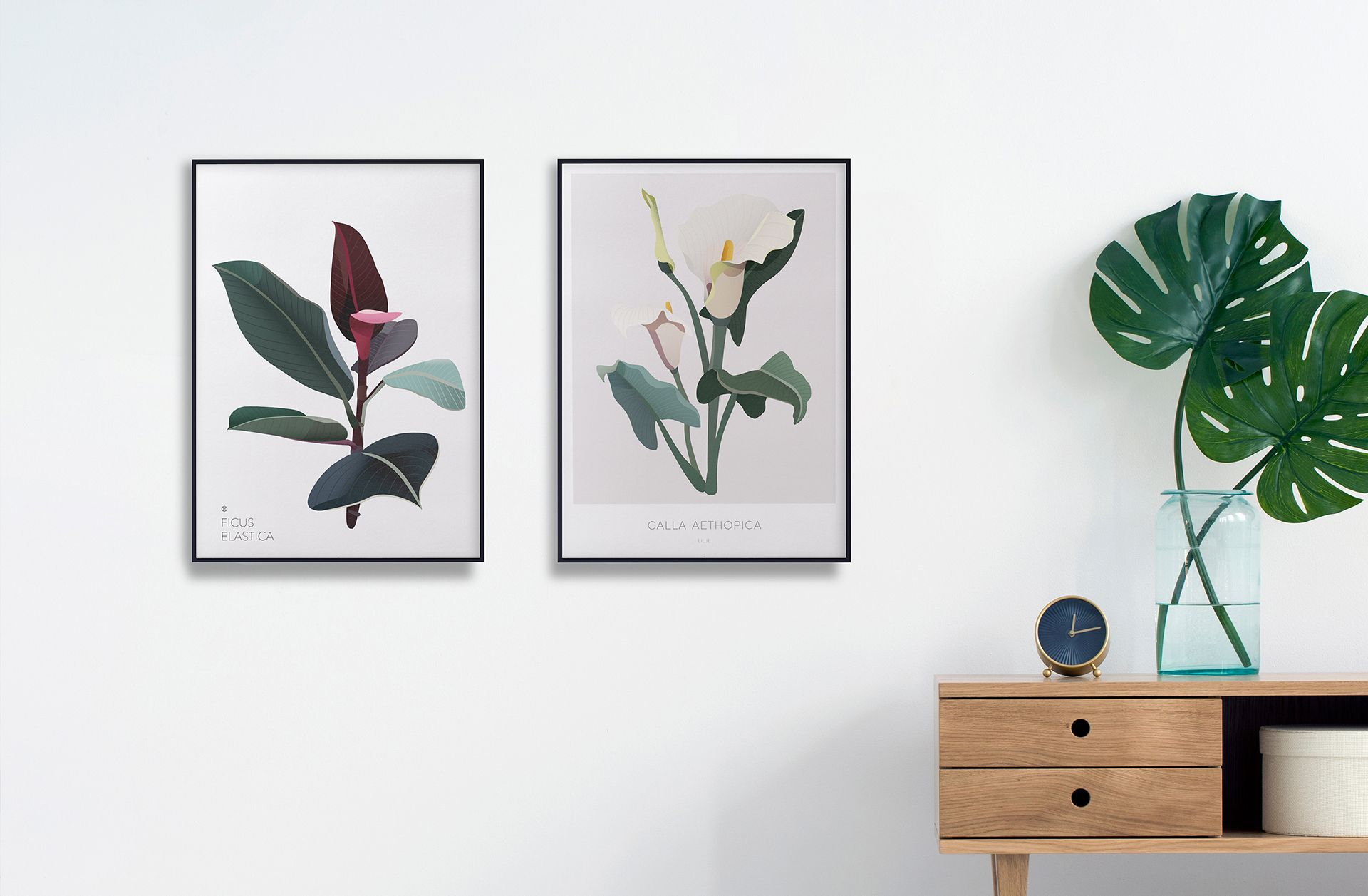 Galleri plakater | Botaniske plakater | Botanisk illustrasjon | planter | interiør | plantebord | illustrert av ohoi studio