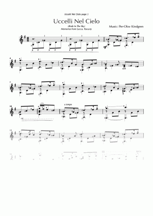 Uccelli Nel Cielo (sheet music)