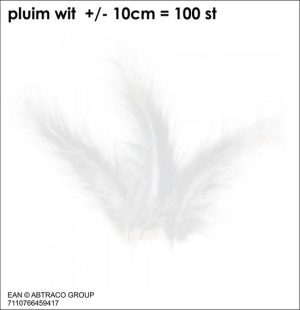 plumes blanches