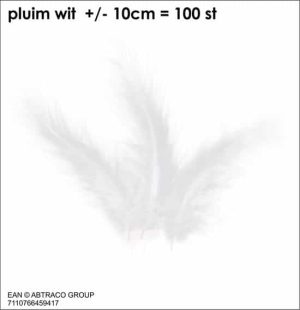 plumes blanches