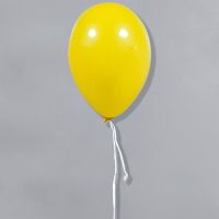 Ficelles biodégradables ballons