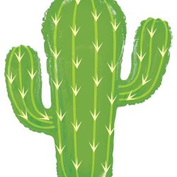 ballon cactus
