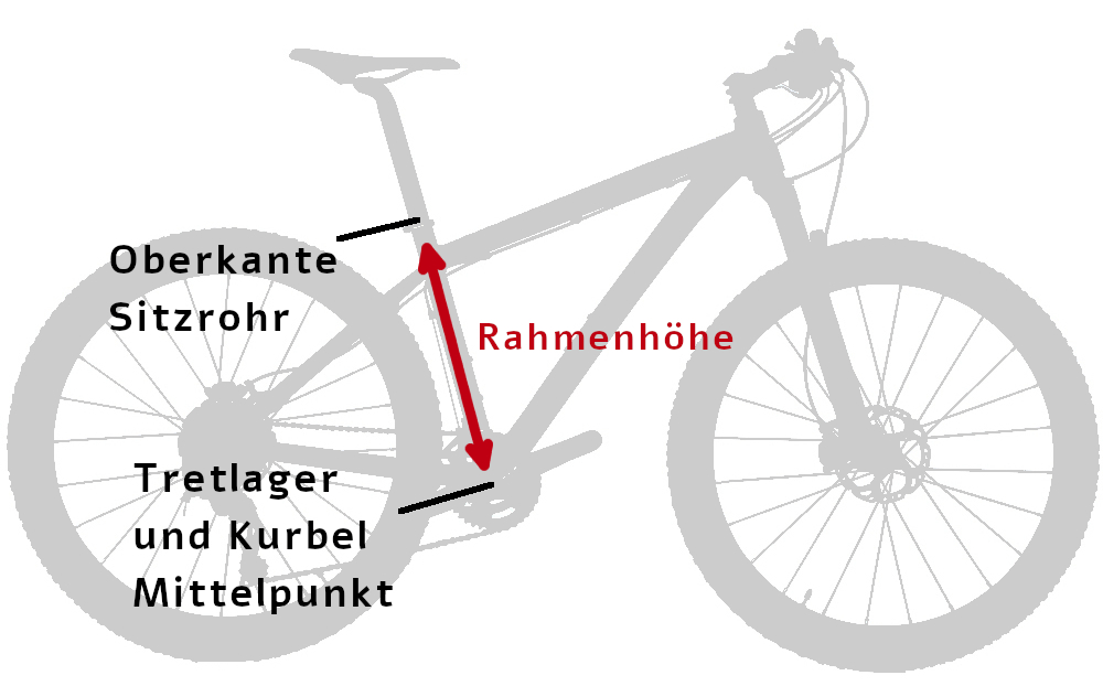 Die richtige Fahrradgröße bestimmen – SAIL & RIDE