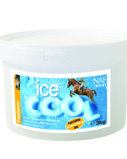 ice cool klei