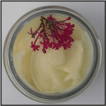 Beeswax and Honey Skin Balm