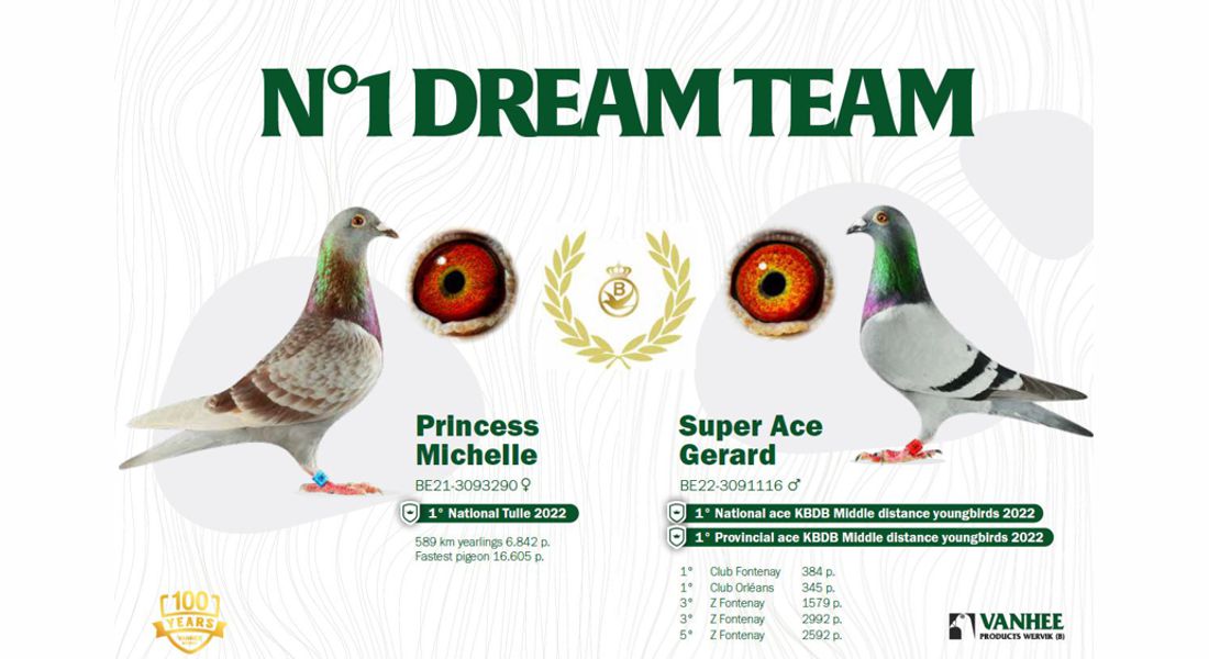 banner_dream_team