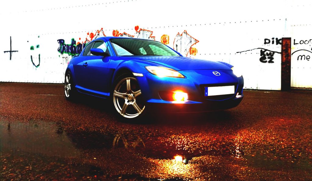 rx8photoondogwalk