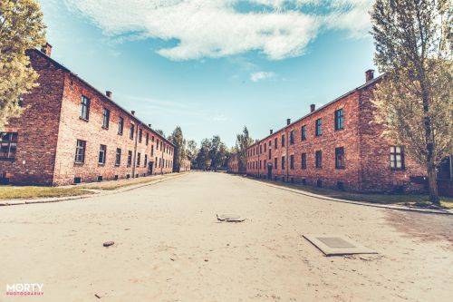 auschwitz017