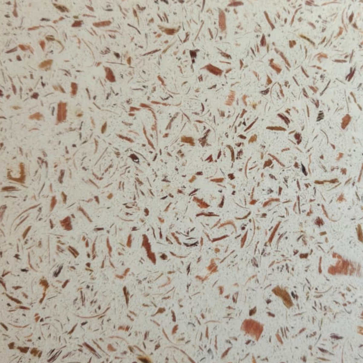 Terrazzo Floor Design