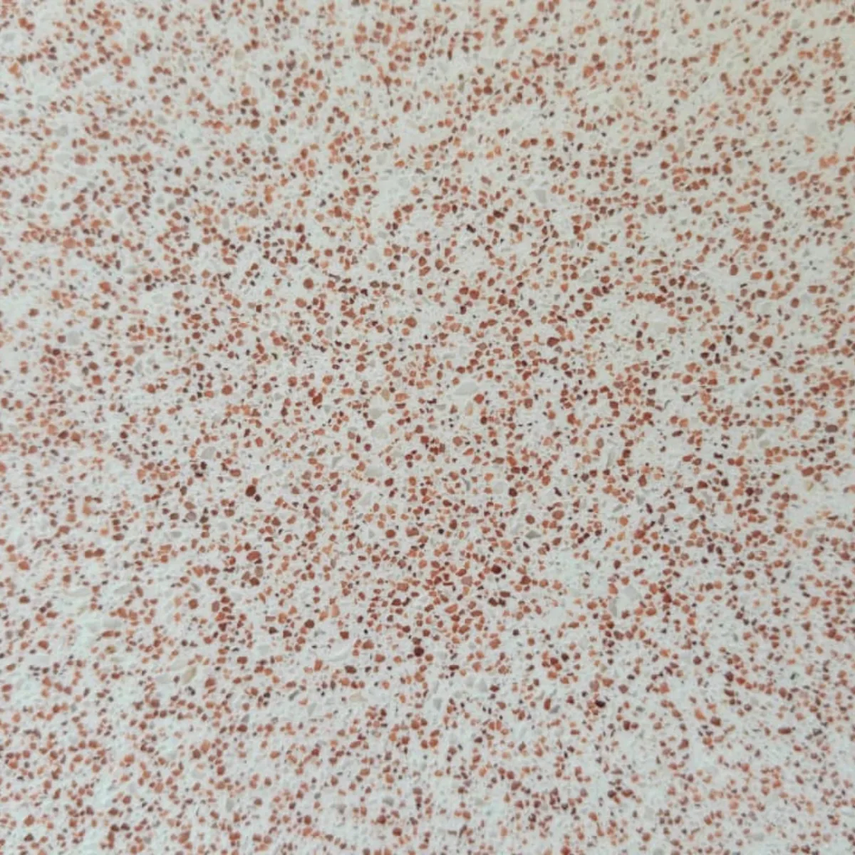 Terrazzo Floor Design