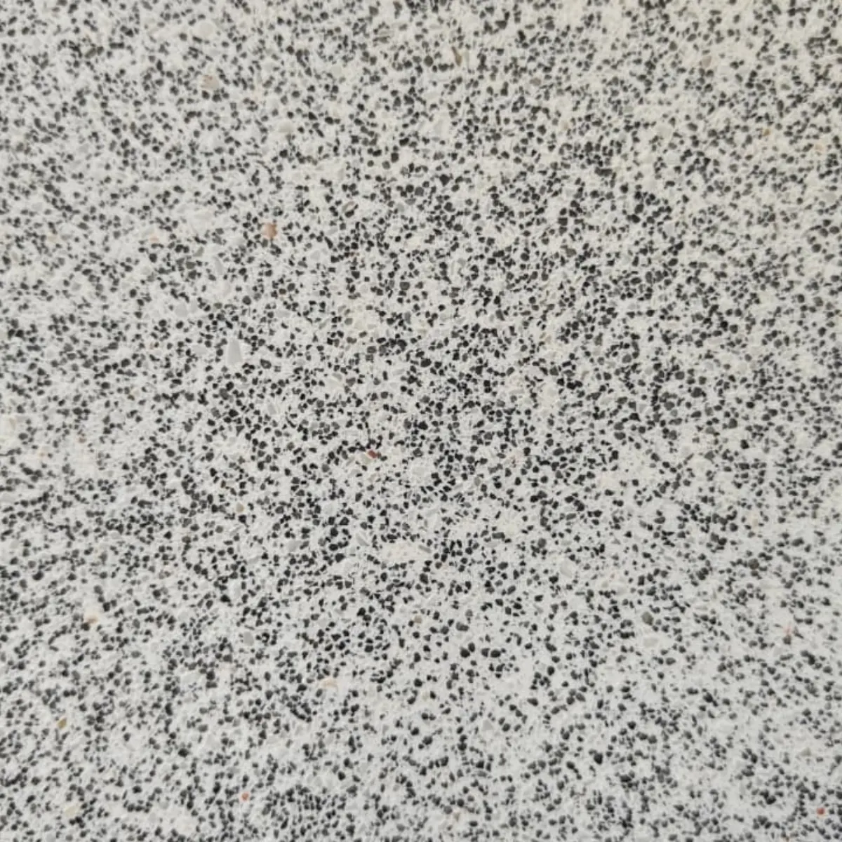 Terrazzo Floor Design
