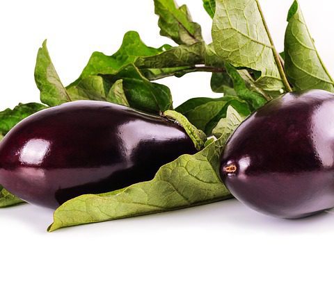 aubergine