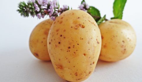 gegratineerde aardappelschotel