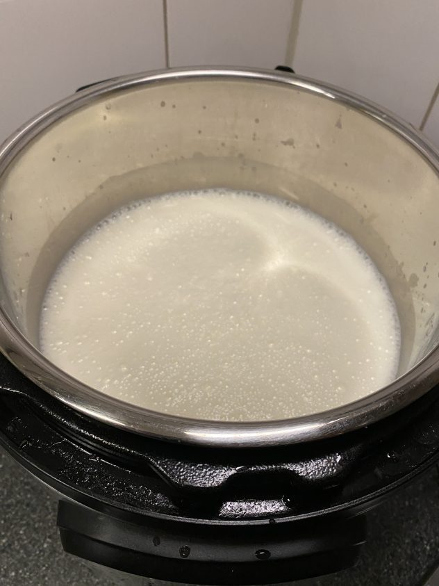 yoghurt maken