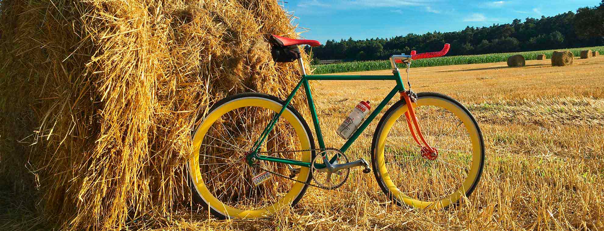 Tuttifrutti Fixie Singlespeed Summer