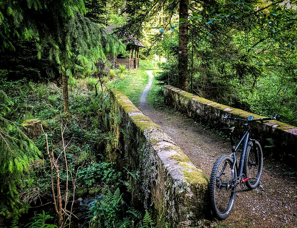 Black Endo Singlespeed | Westweg, Schwarzwald © Mila Kusmenko