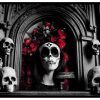 skull poster with roses