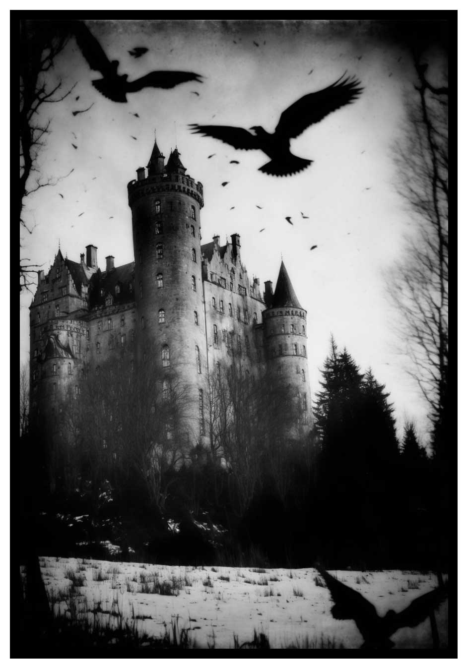 Castle Of Horror Black And White Horror Poster Sinister se castle-of-horror-black-and-white-horror-poster-sinister-se