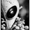 black and white alien poster