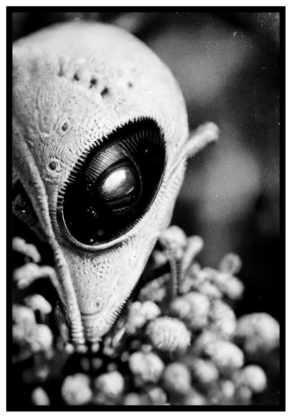 black and white alien poster