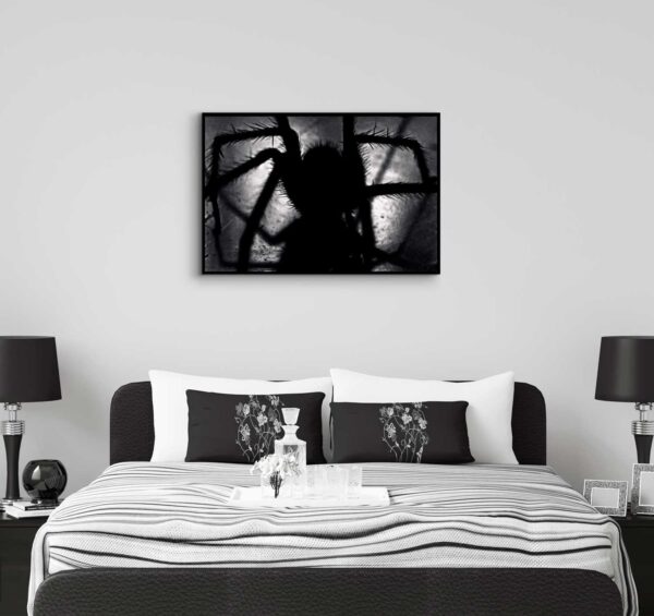 black and white spider poster