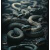 scary snakes posters