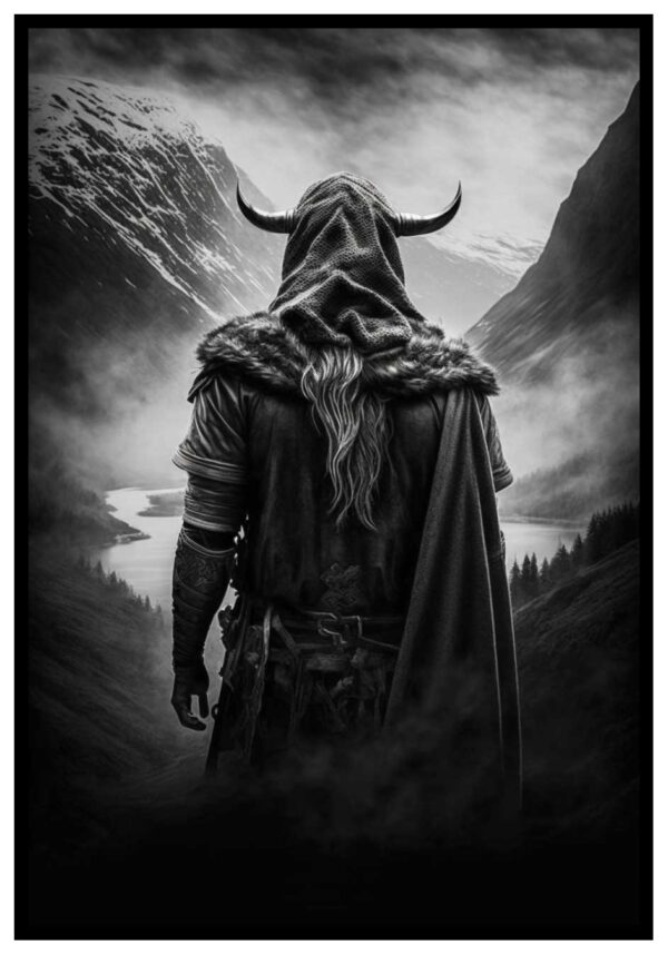 viking bagside plakat