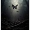 cartel de mariposa del bosque oscuro