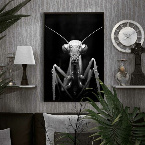 cool praying mantis painting