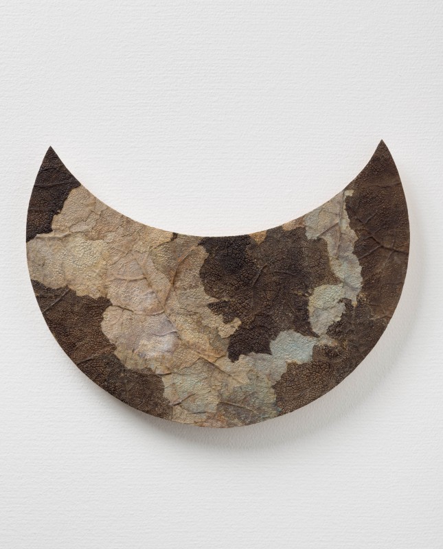 Dit-Cilinn, -9595, 2014, leaves, wood, 26 x 35 cm
