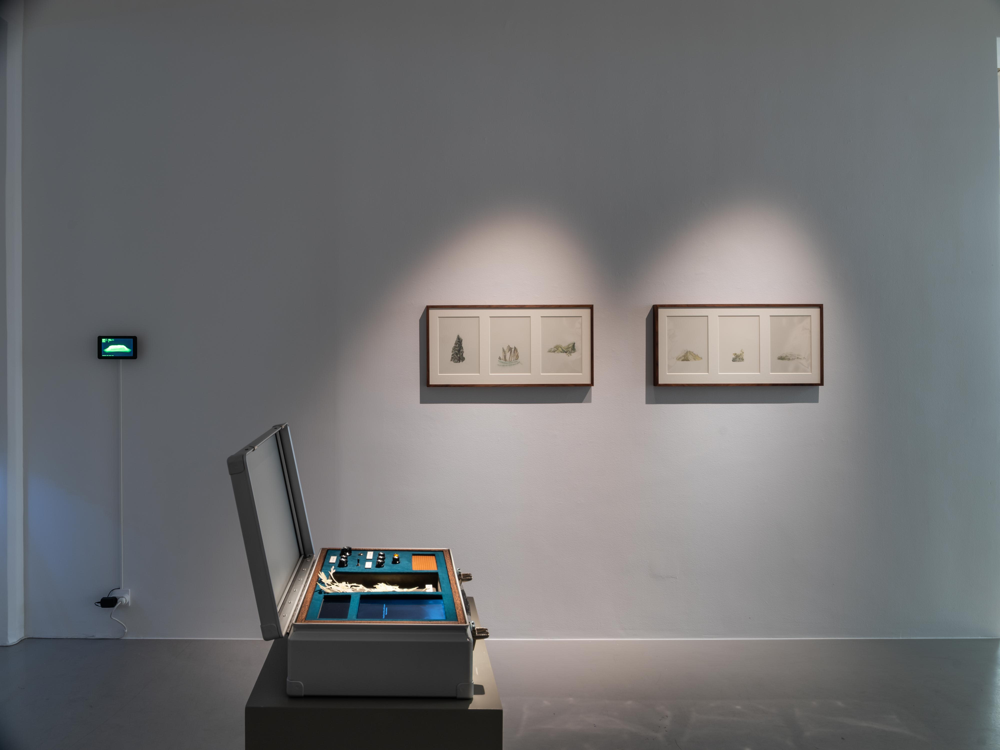 Johannes Heldén, Worlds, 2019, installation view 