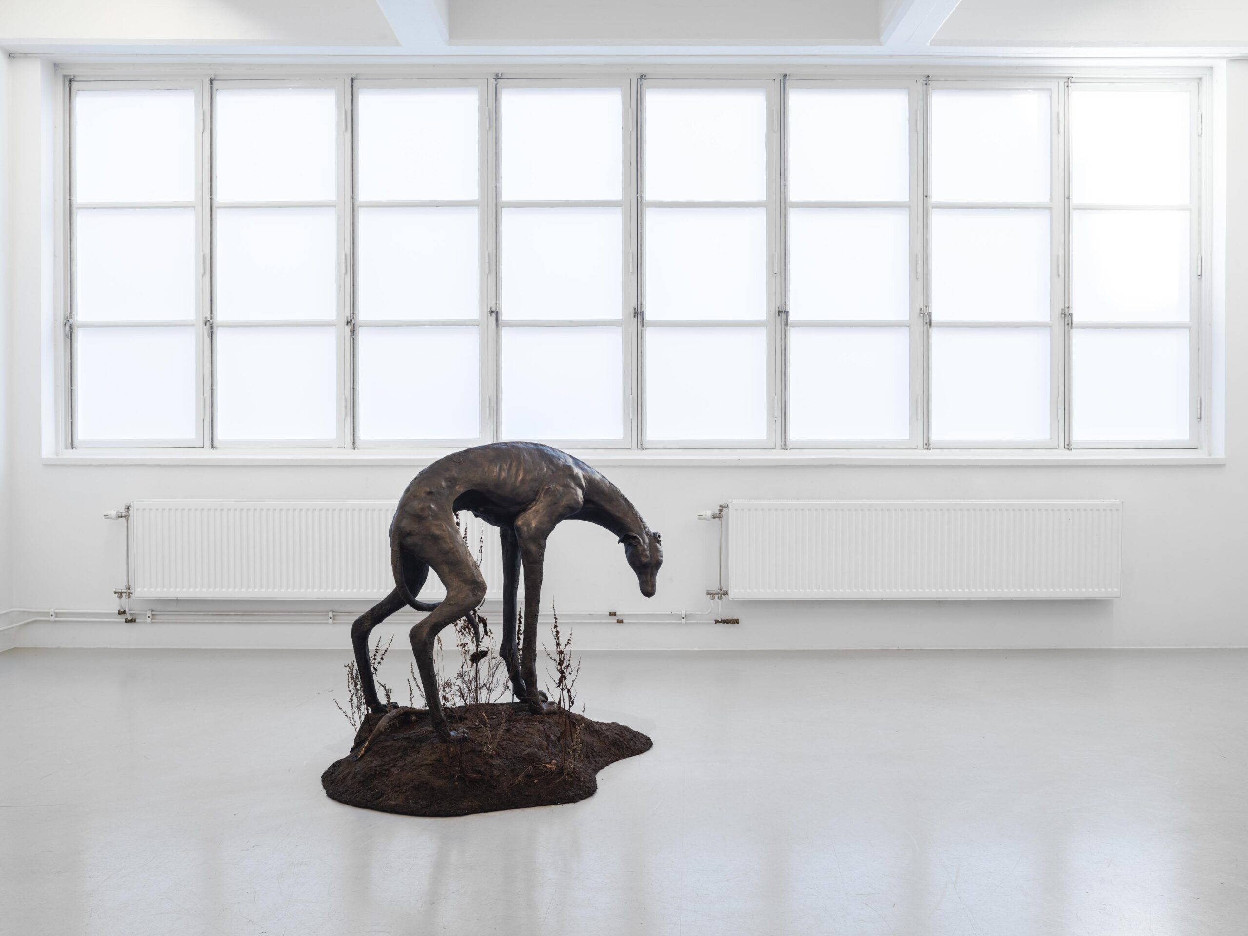 Installation view, Lovisa Ringborg, Silver och svart, 2021, Cecilia Hillström Gallery. Photo: Jean-Baptiste Béranger