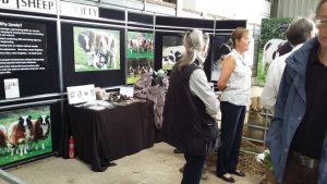 JSS members man the stand all day answering inquiries about the breed.