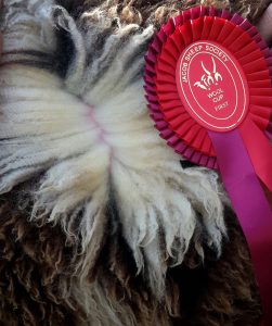 Charlie Coe Champion Fleece 2020