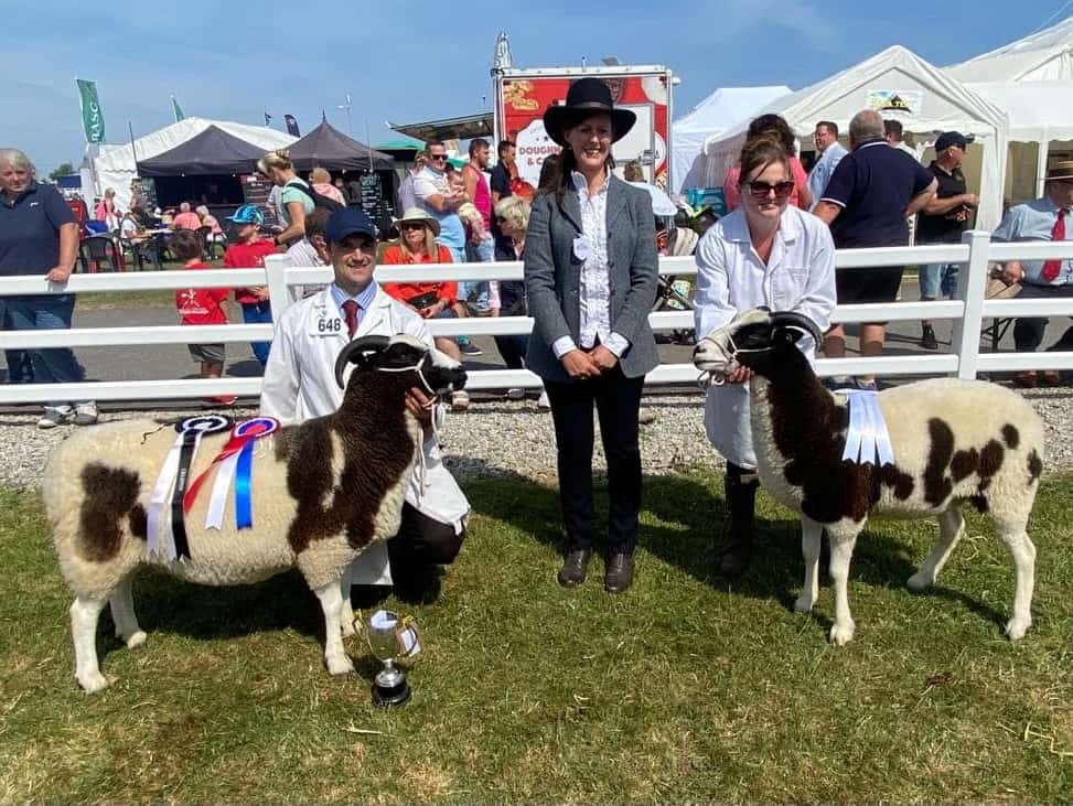 C:\Users\Clive\Downloads\ged ewe. champion at the Royal Cornwall Show, with the Jsper family's shearling ewe reserve..jpg