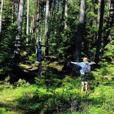 Jannine Rivel återvänder från skogen