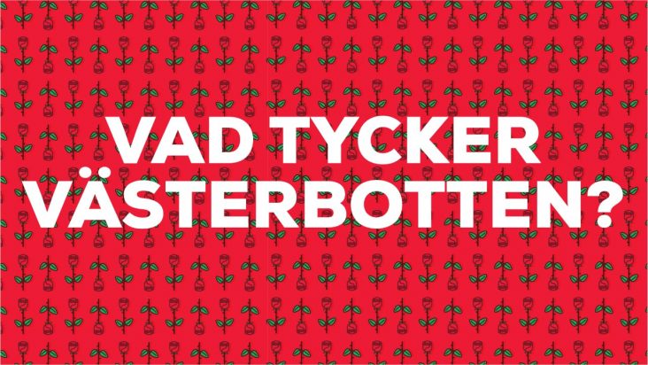 Vad tycker du? Fyll i enkäten!