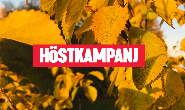 Höstkampanj