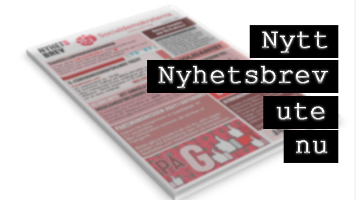 Nyhetsbrev 13, oktober november 2020