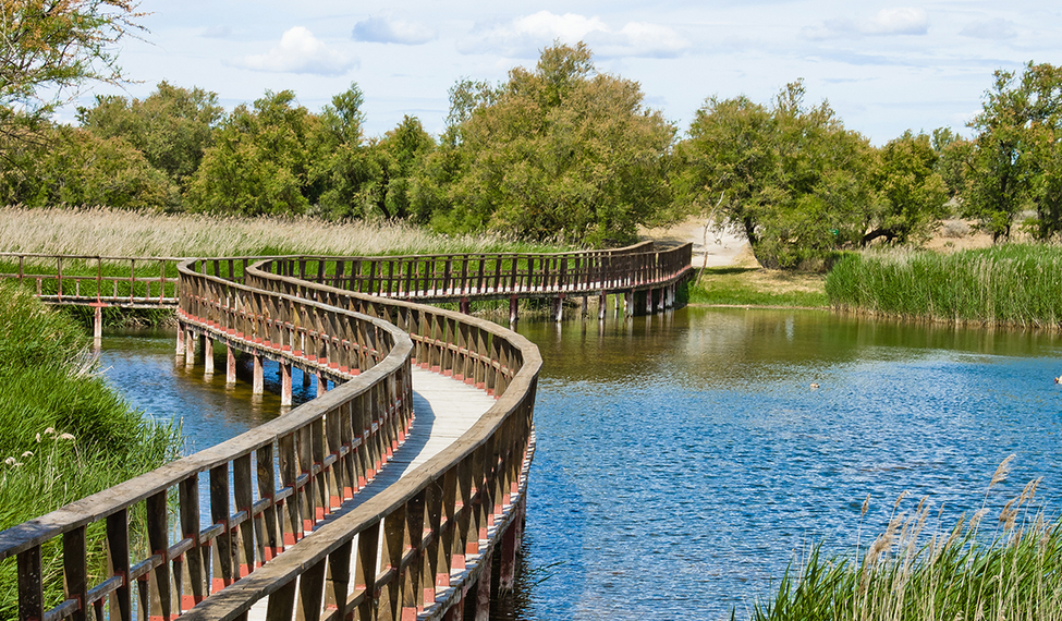La Rinconada de las Tablas de Daimiel