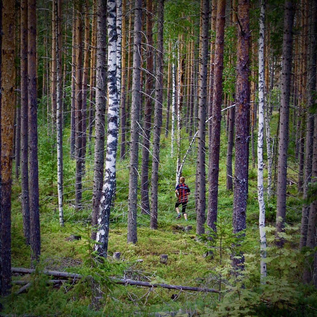 Suunnistaja metsässä