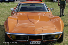 TEMA-USA-BILAR-_1120778