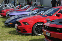 TEMA-USA-BILAR-_1120781