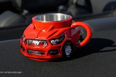 TEMA-USA-BILAR-_1120854