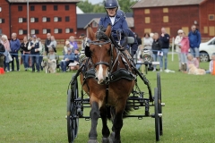 HASTENSDAG-_1088672