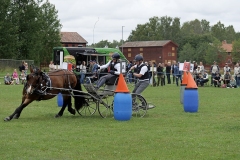 HASTENSDAG-_1088717