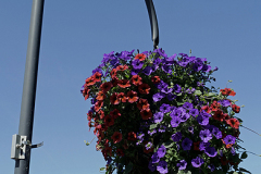 LORDAGSPROMENAD-_1105042