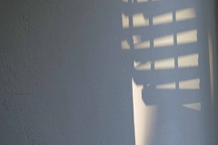 MANDAG-29-DEC-_1127926